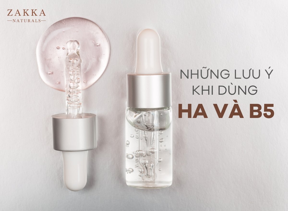 HA và B5