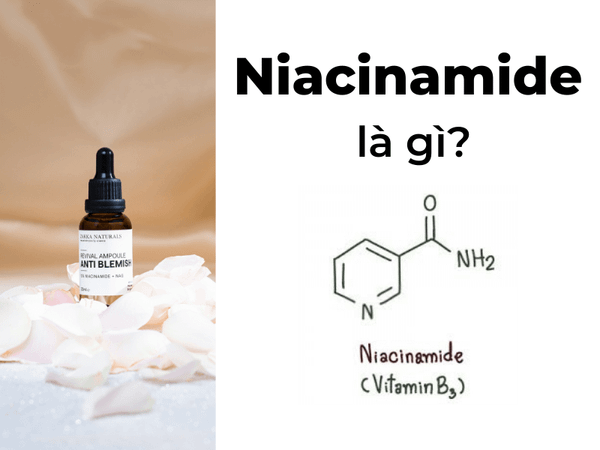 Niacinamide là gì? Công dụng và 11 lợi ích tuyệt vời mang lại cho da –  Zakka Naturals