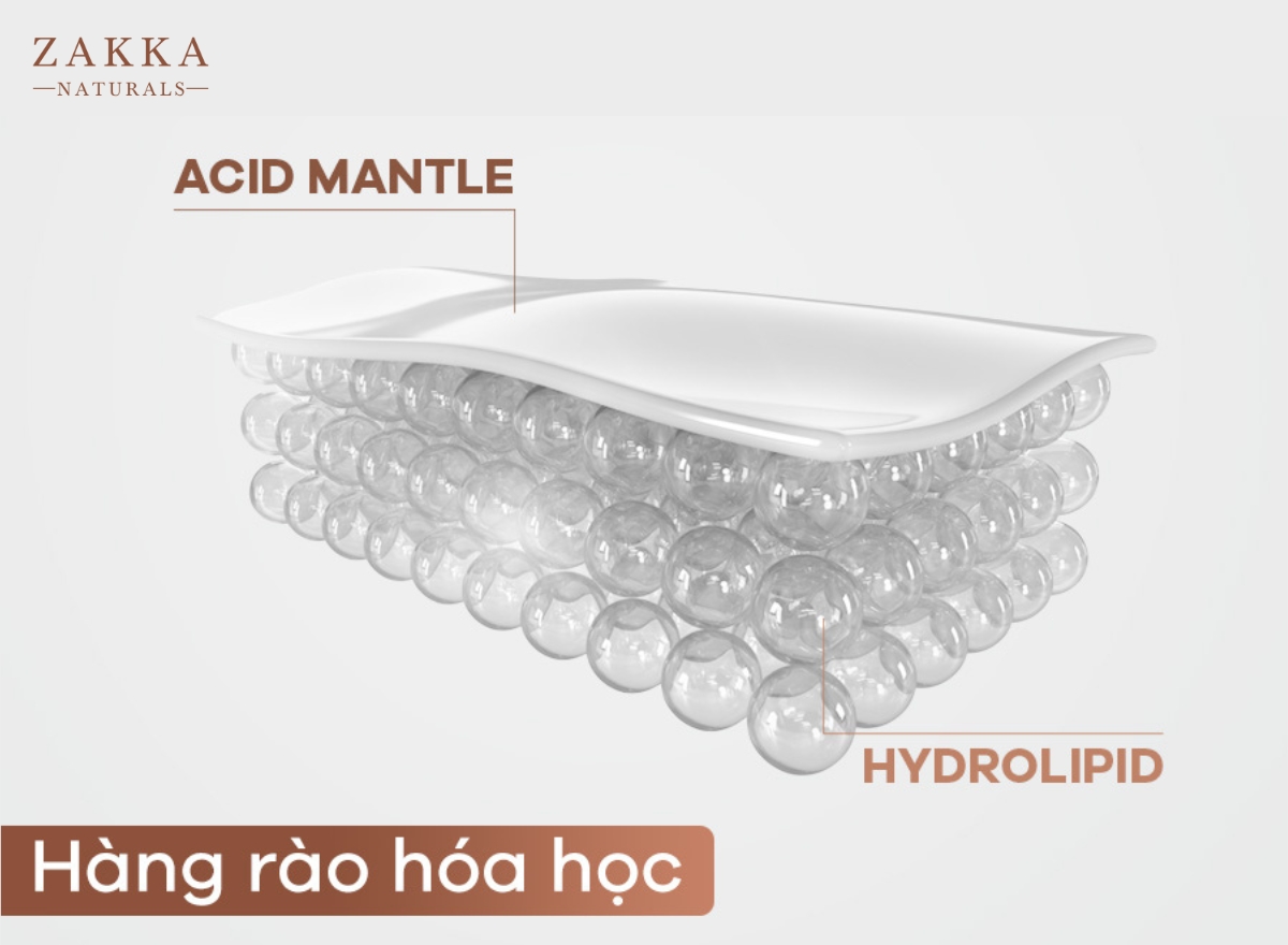 Hàng Rào Bảo Vệ Da Là Gì? Cách Phục Hồi Hàng Rào Bảo Vệ Da Nhanh Chóng?