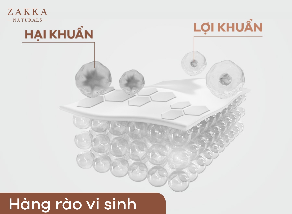 Hàng Rào Bảo Vệ Da Là Gì? Cách Phục Hồi Hàng Rào Bảo Vệ Da Nhanh Chóng?