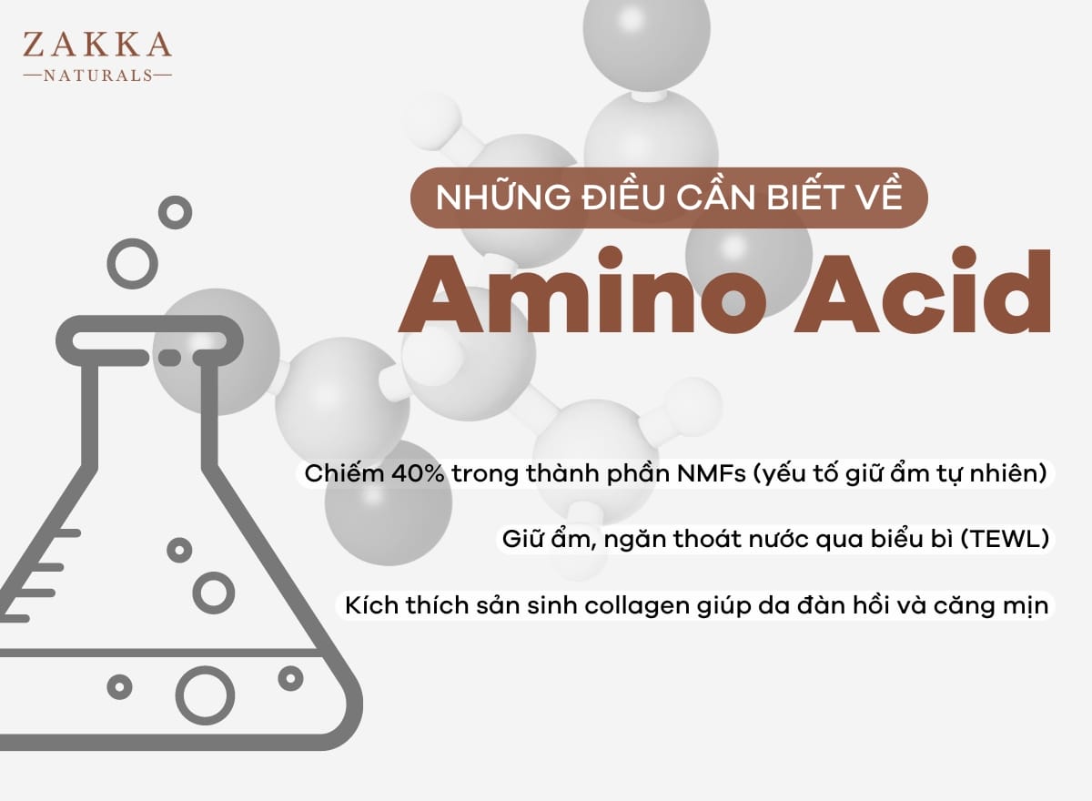Những điều cần biết về Amino Acids
