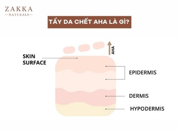 Tẩy Da Chết AHA Là Gì?