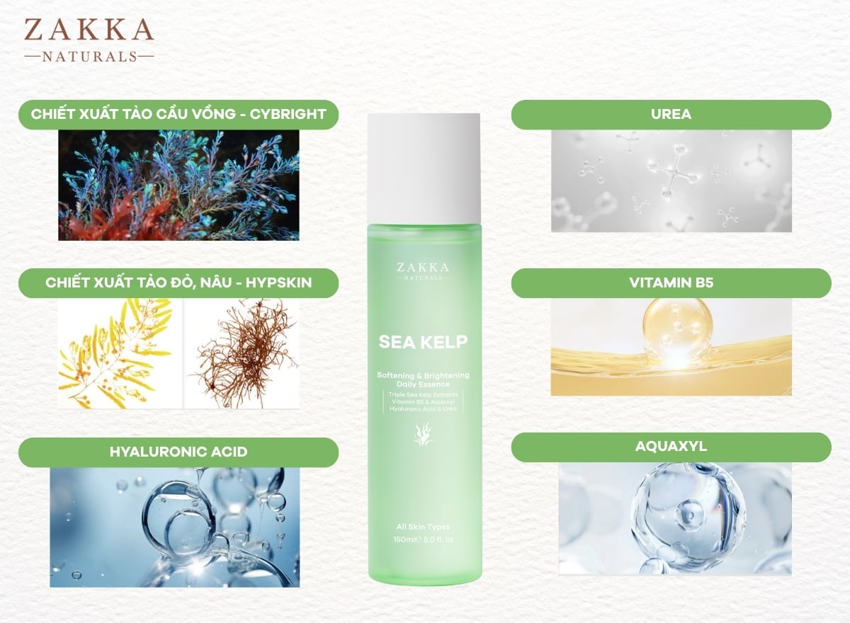 Review tinh chất Essence Fermented Sea Kelp của Zakka Naturals