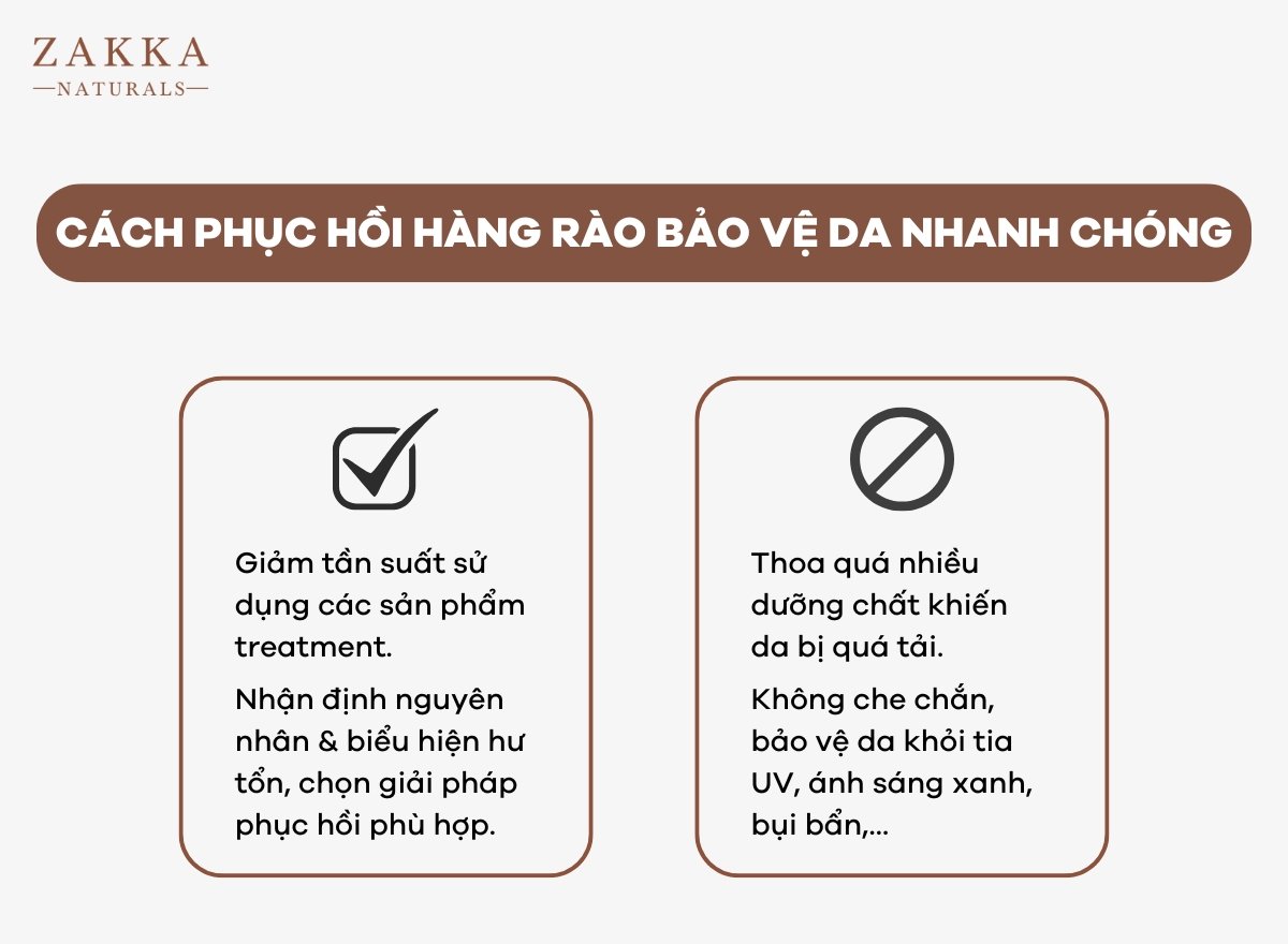 Hàng Rào Bảo Vệ Da Là Gì? Cách Phục Hồi Hàng Rào Bảo Vệ Da Nhanh Chóng?