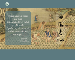 Chữ Mạch