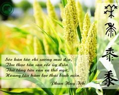 Chữ Thử