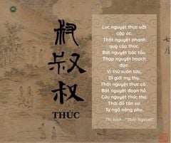 Chữ Thúc