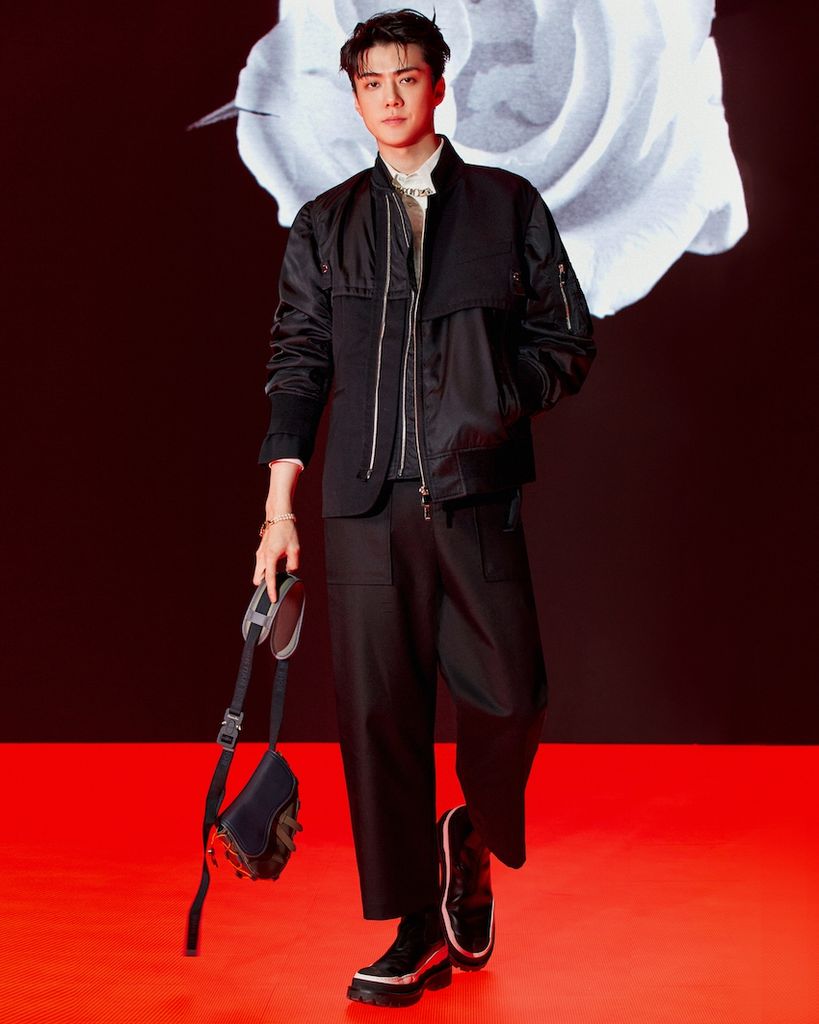 Thiết kế Dior and Sacal Saddle Bag