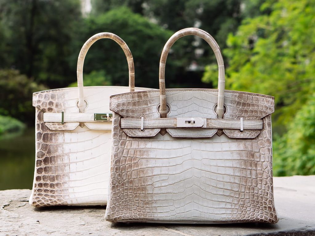 Các Loại Da Thuộc Exotic Bạn Nên Biết (Phần 1)