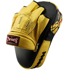 Đích Đấm Punch mitts