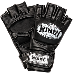 Windy Gloves