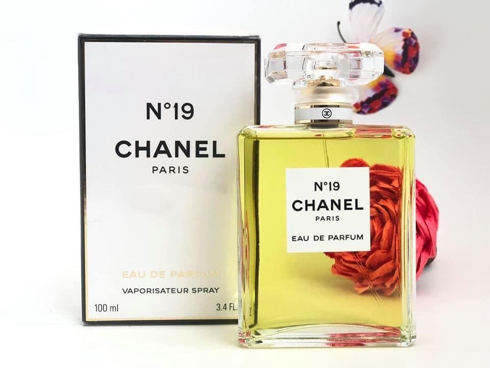 Chanel 19 Perfume  FragranceNetcom