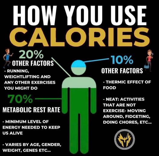 Cơ thể sử dụng Calories thế nào ???