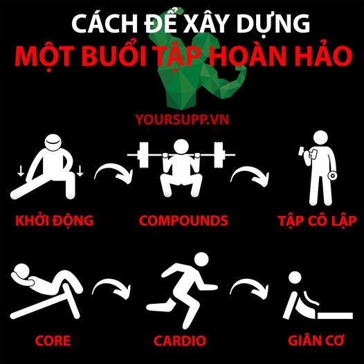 PHÂN BỔ BUỔI TẬP CHO HỢP LÝ.