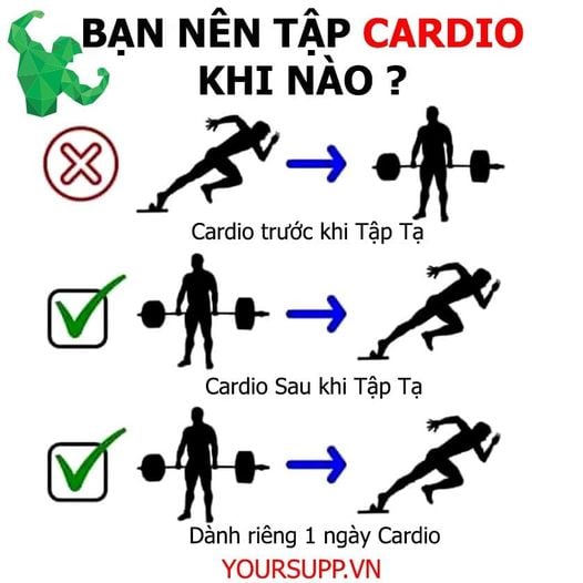 NÊN CARDIO TRƯỚC HAY SAU TẬP ??