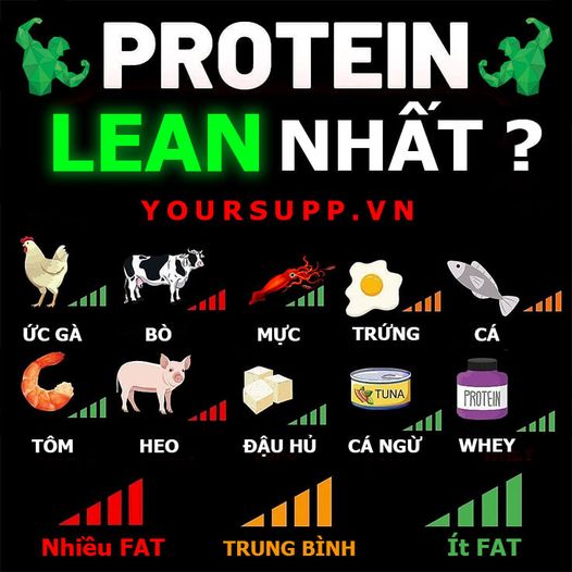 SỬ DỤNG PROTEIN THÔNG MINH