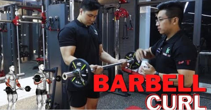 Hướng dẫn BARBELL CURL - kĩ thuật TẬP TAY TRƯỚC cho người mới | Beginner Workout Tutorial