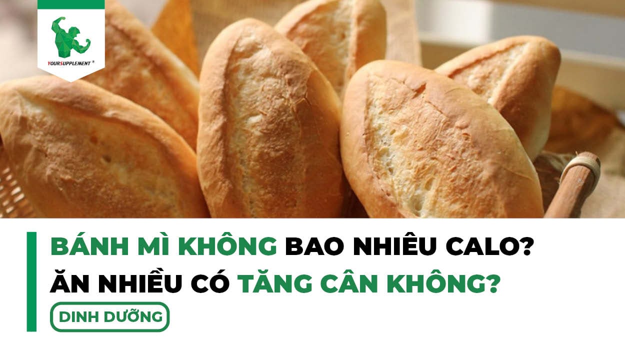 Bánh Mì Không Bao Nhiêu Calo? Ăn Bánh Mì Không Có Tăng Cân Không?