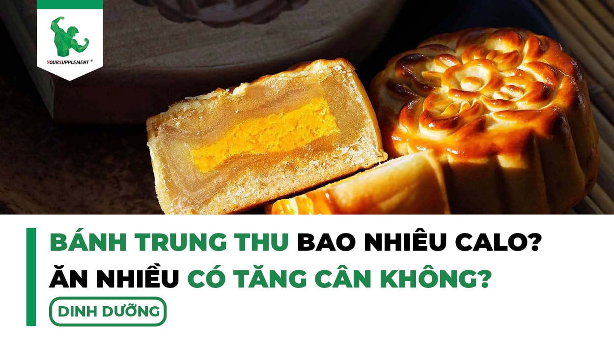 Bánh Trung Thu Bao Nhiêu Calo? Ăn Bánh Trung Thu Có Tăng Cân Không?