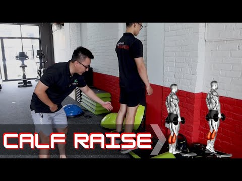Hướng dẫn CALF RAISE - kĩ thuật TẬP BẮP CHÂN cho người mới | Beginner Workout Tutorial