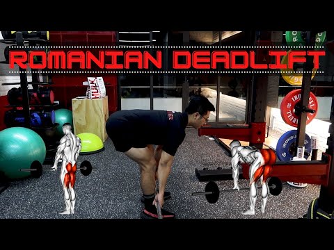 Hướng dẫn ROMANIAN DEADLIFT - kĩ thuật TẬP MÔNG ĐÙI cho người mới | Beginner Workout Tutorial