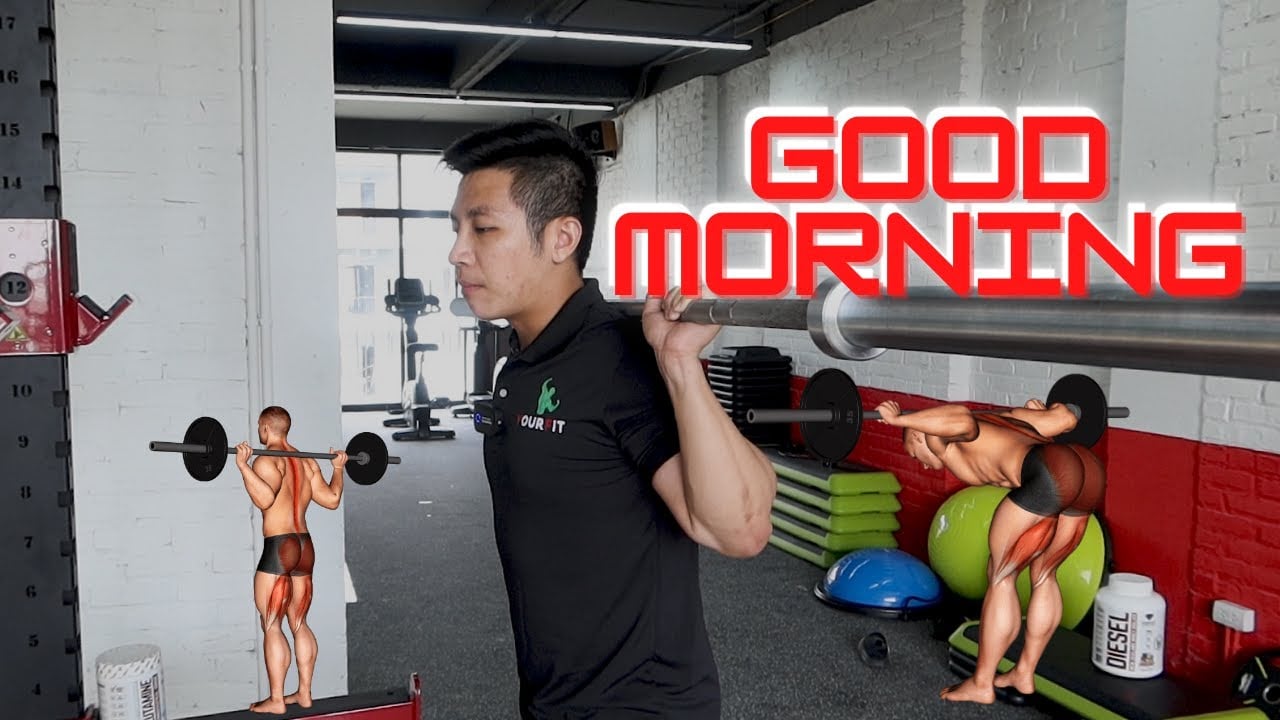 Hướng dẫn GOOD MORNING - kĩ thuật TẬP LƯNG cho người mới | Beginner Workout Tutorial