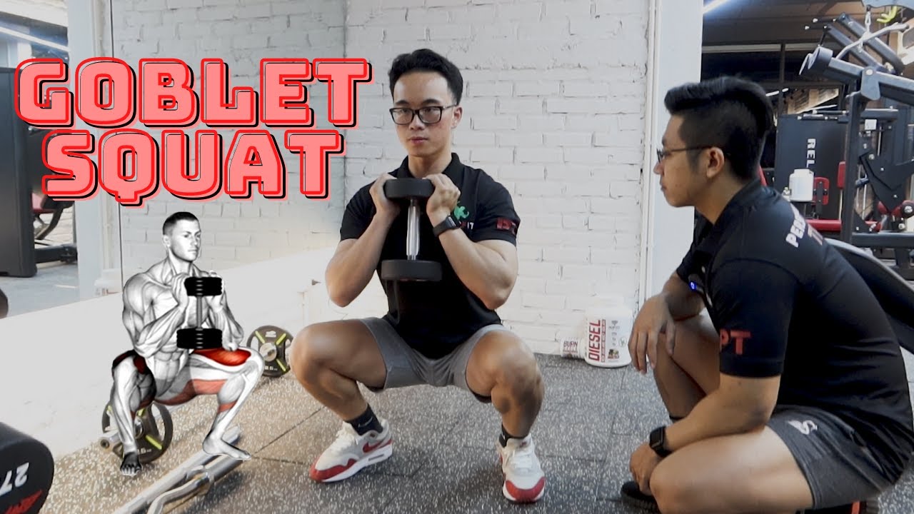 Hướng dẫn GOBLET SQUAT - kĩ thuật TẬP CHÂN cho người mới | Beginner Workout Tutorial