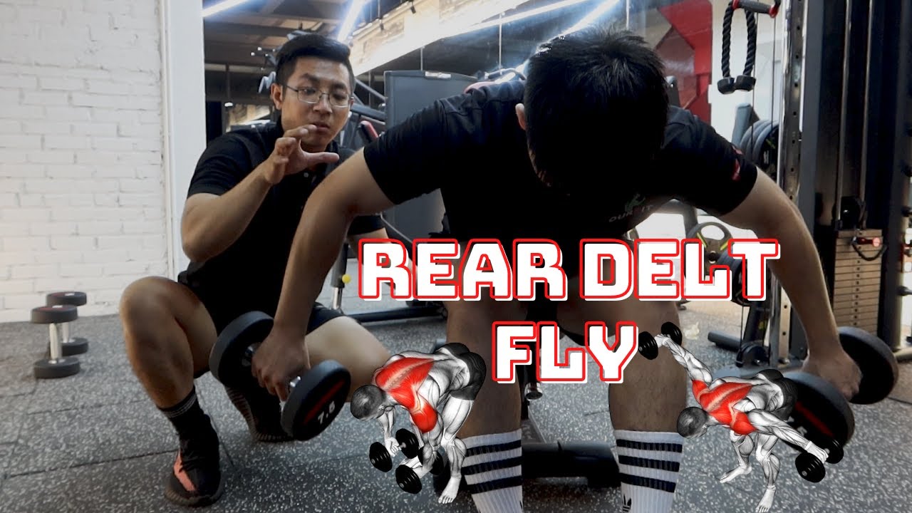 Hướng dẫn REAR DELT FLY - kĩ thuật TẬP VAI SAU cho người mới | Beginner Workout Tutorial