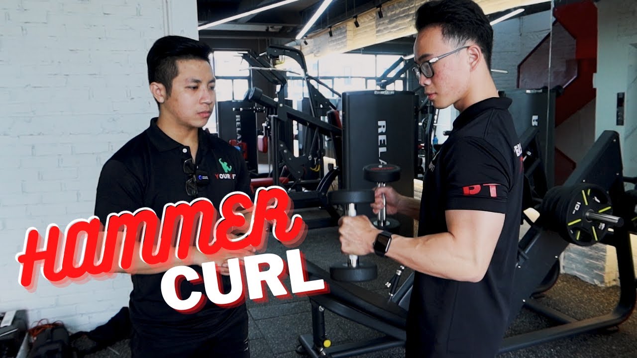 Hướng dẫn HAMMER CURL - kĩ thuật TẬP TAY cho người mới | Beginner Workout Tutorial