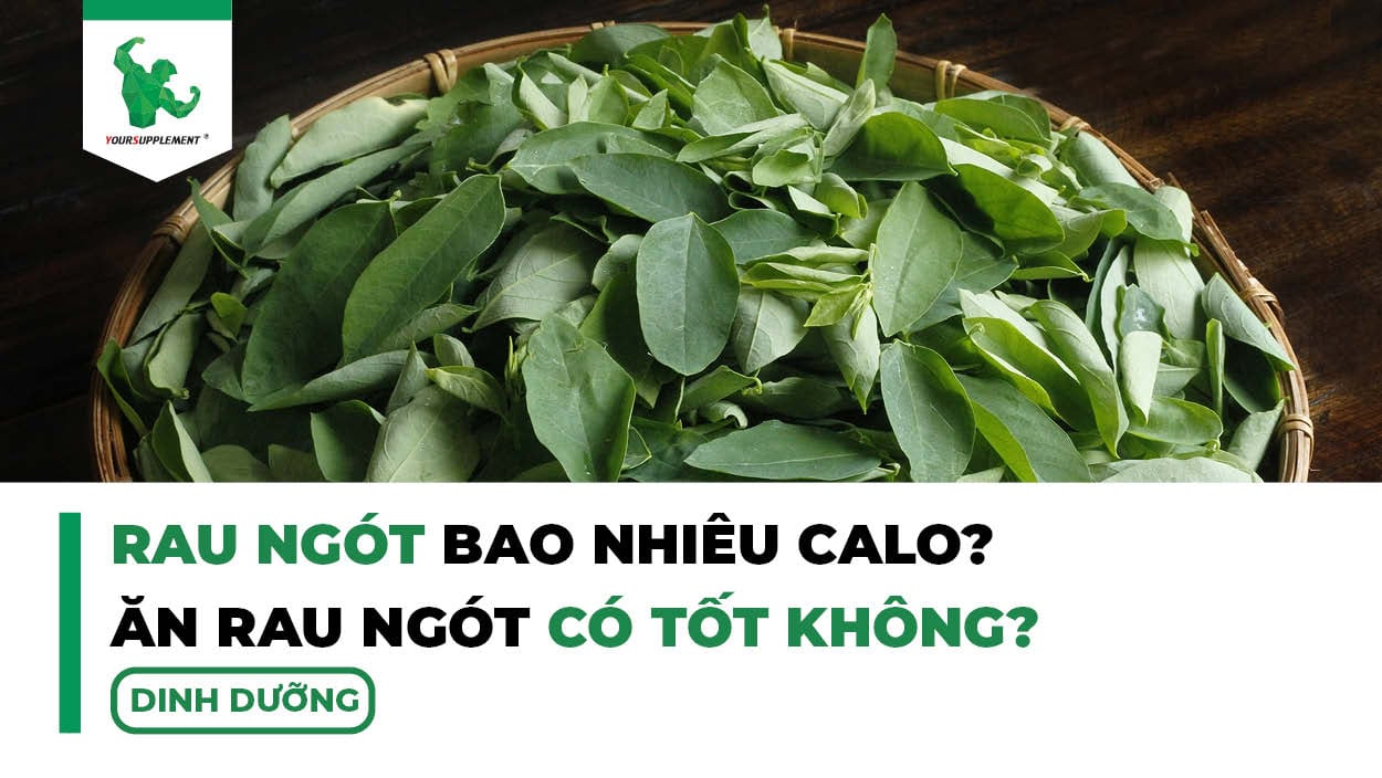 Rau Ngót Bao Nhiêu Calo? Ăn Rau Ngót Có Tốt Không?