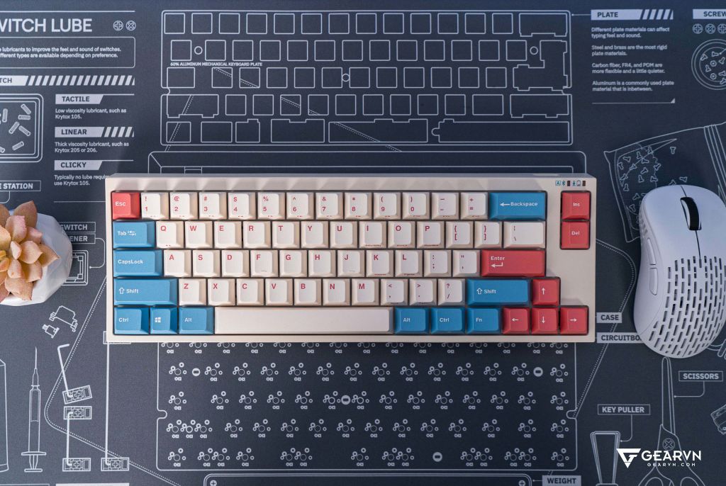 GEARVN - Bàn phím Leopold FC660M Bluetooth Coral Blue Limited Edition