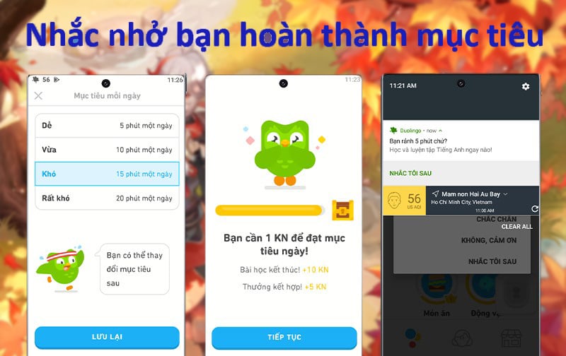 Học Tiếng Anh cho mọi lứa tuổi cùng Duolingo