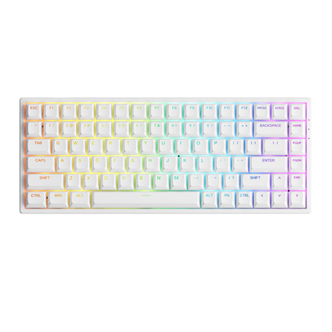 GEARVN Bàn phím AKKO 3084 v2 RGB White