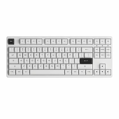 GEARVN - Bàn phím cơ AKKO 3087 RF Black on White