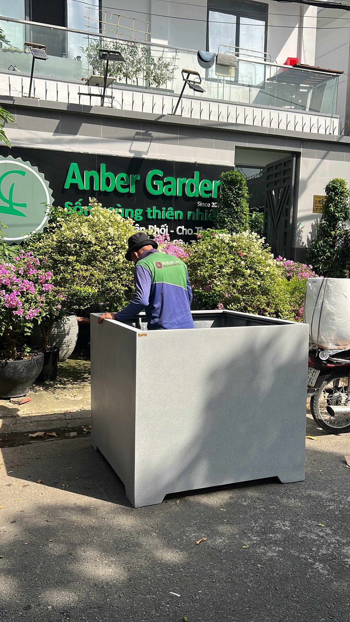 chậu cây lớn xxl santo anber