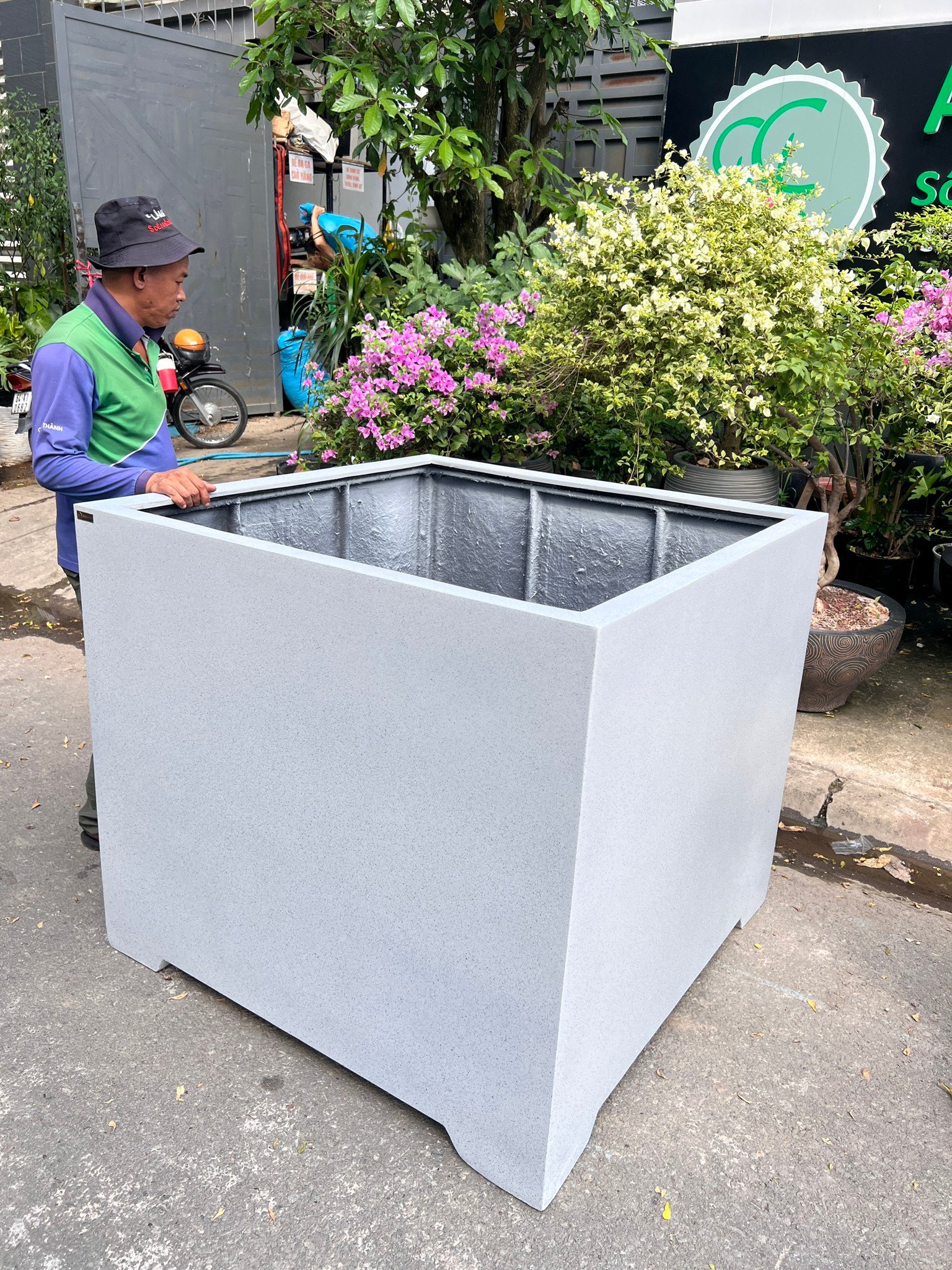 chậu cây lớn xxl santo anber