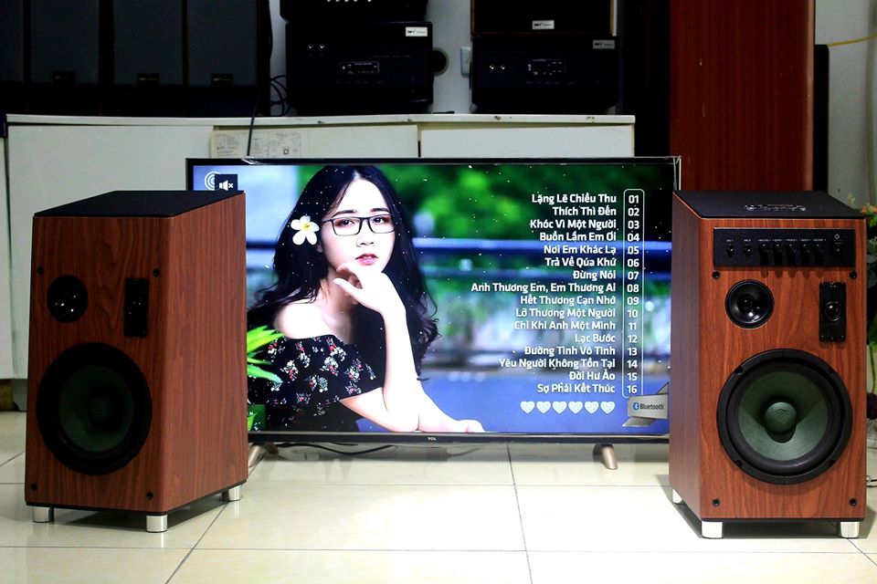 SIÊU NGON- SIÊU RẺ tại kho Goldsound HCM Bình Tân