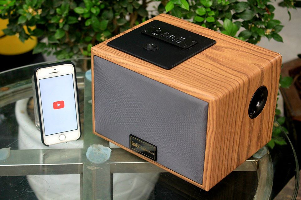ĐẠI HẠ GIÁ, chỉ còn VÀI TRĂM NGHÌN 👉Bộ loa đơn W50 Goldsound, full bluetooth