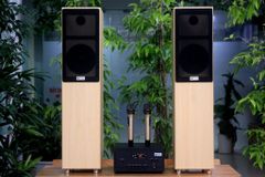 GIẢM 70% BÁN LẺ cặp loa cây