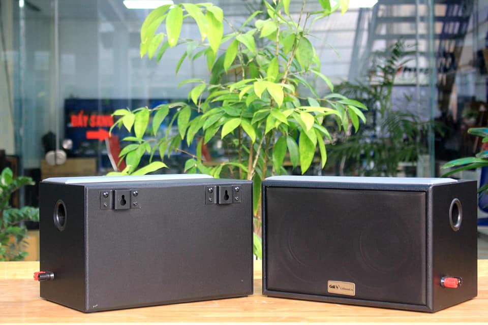 Loa treo tường cho quán cà phê, loa cho quán cafe, nhà hàng, spa...