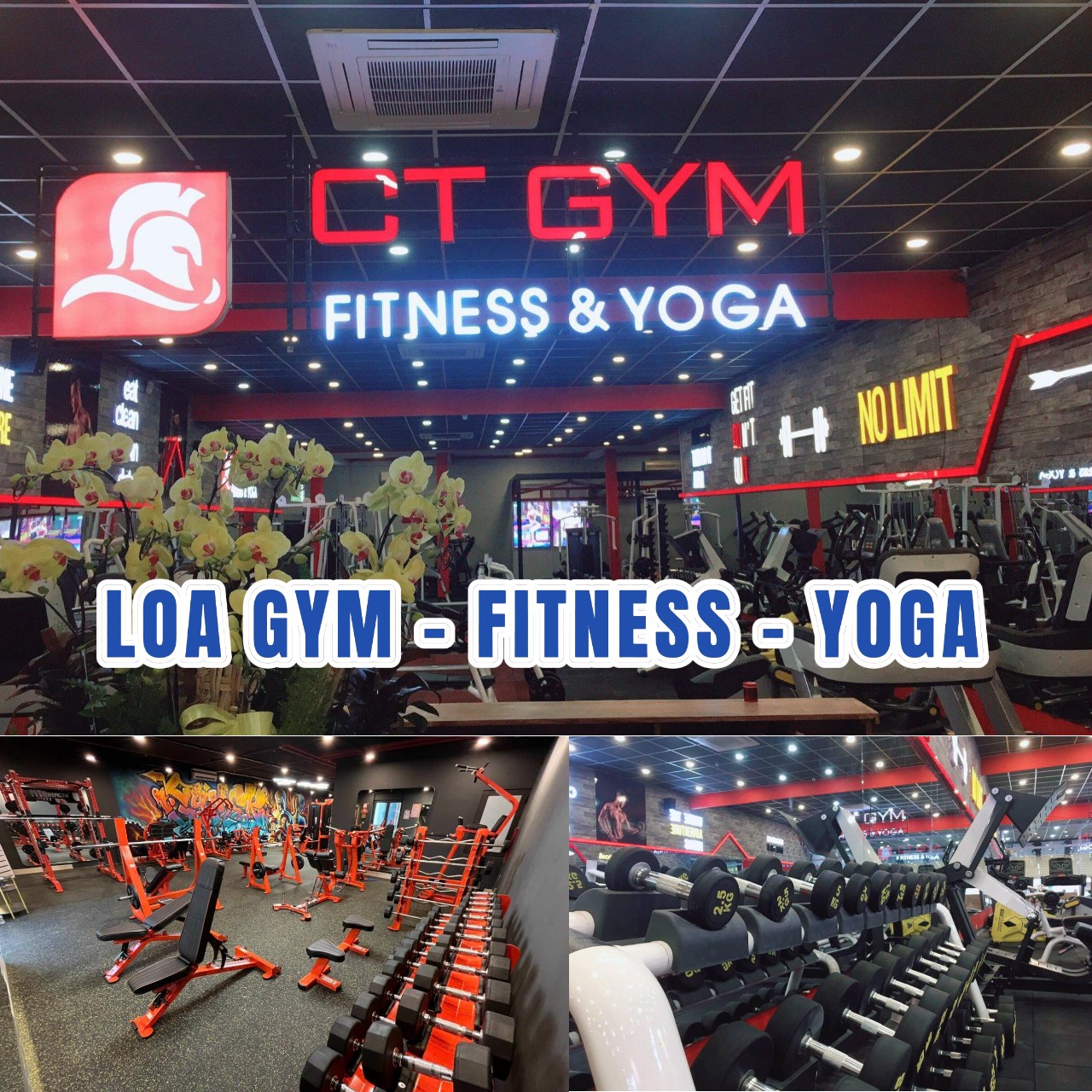 loa gym - loa fitness - loa yoga - loa spa