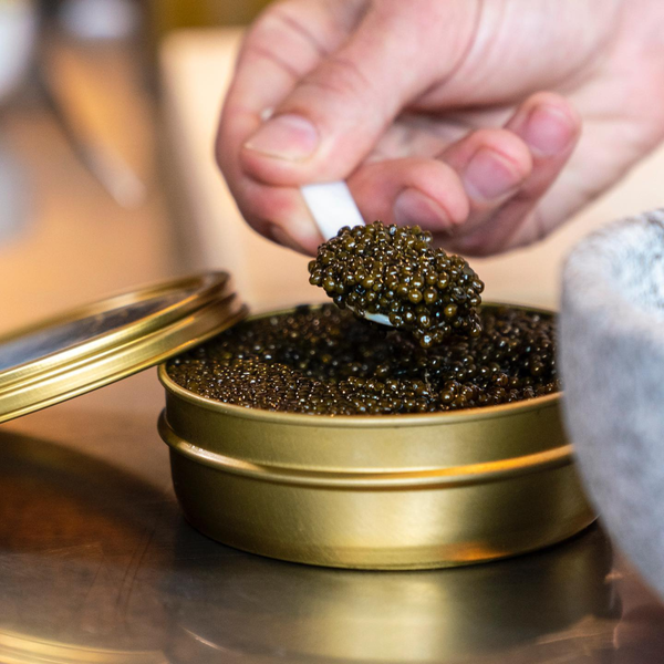 Trứng Cá Tầm Imperial Caviar ( hộp 30g) - DAOHAISAN