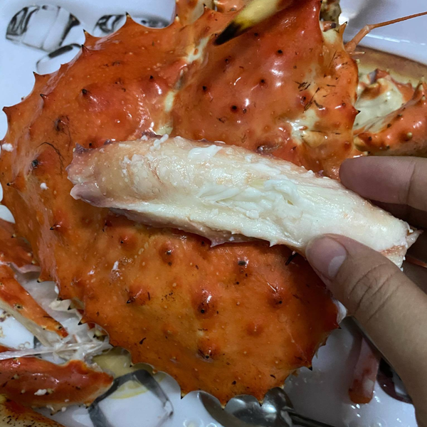 king-crab-tuoi