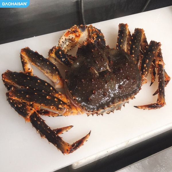 king-crab-tuoi