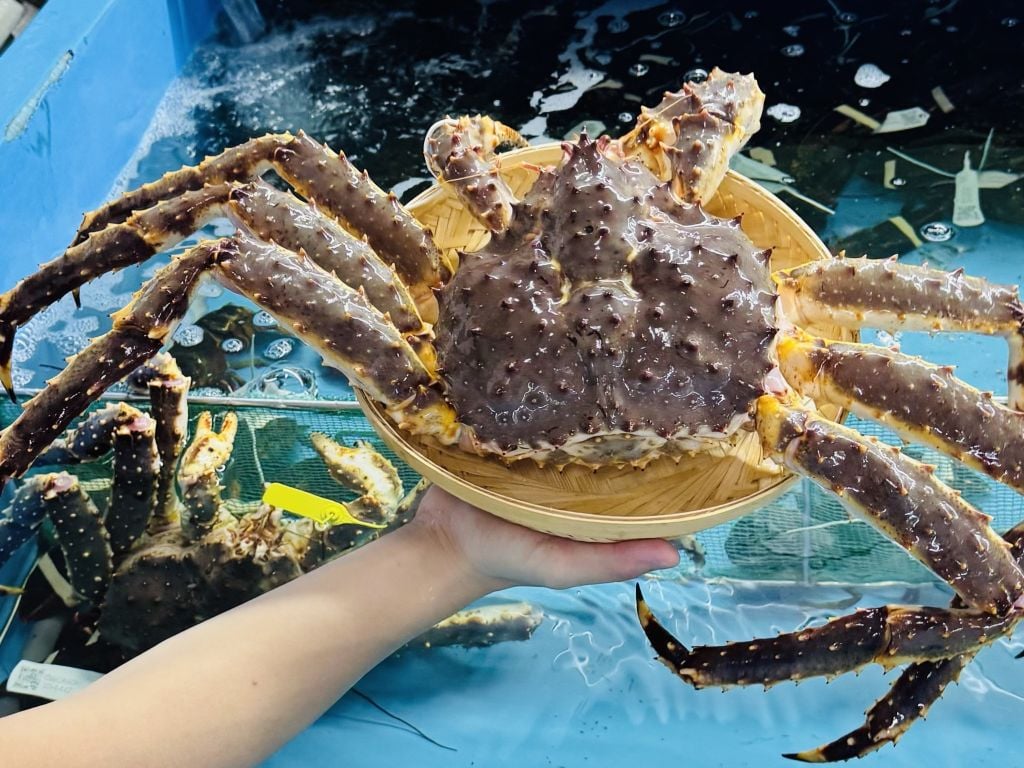 Hình ảnh sản phẩm