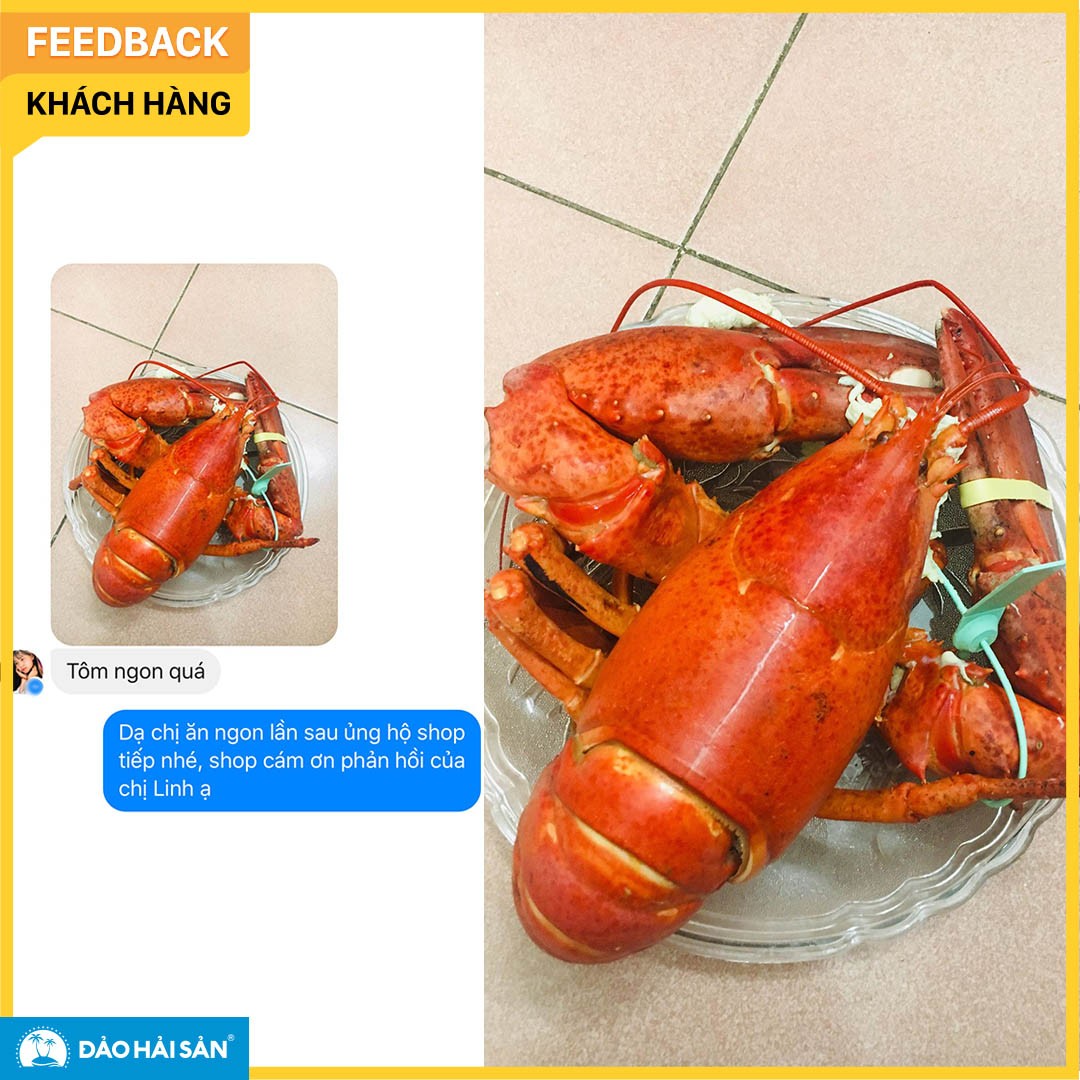 feedback 1