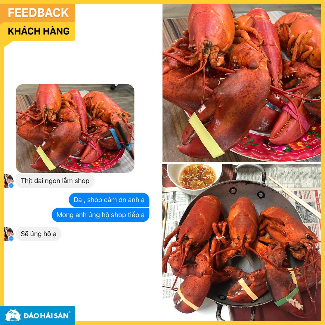 feedback 2