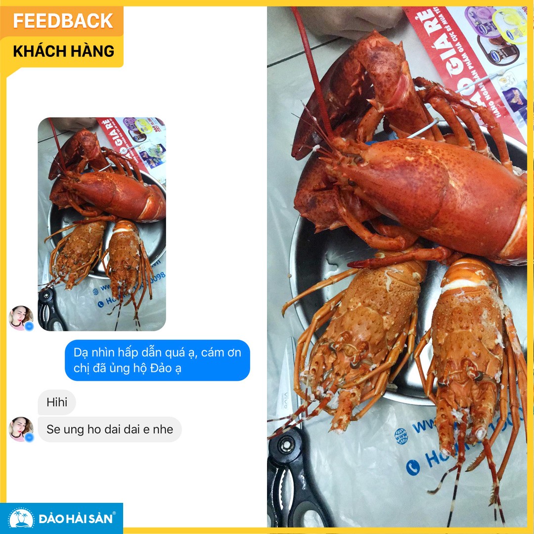 feedback 6