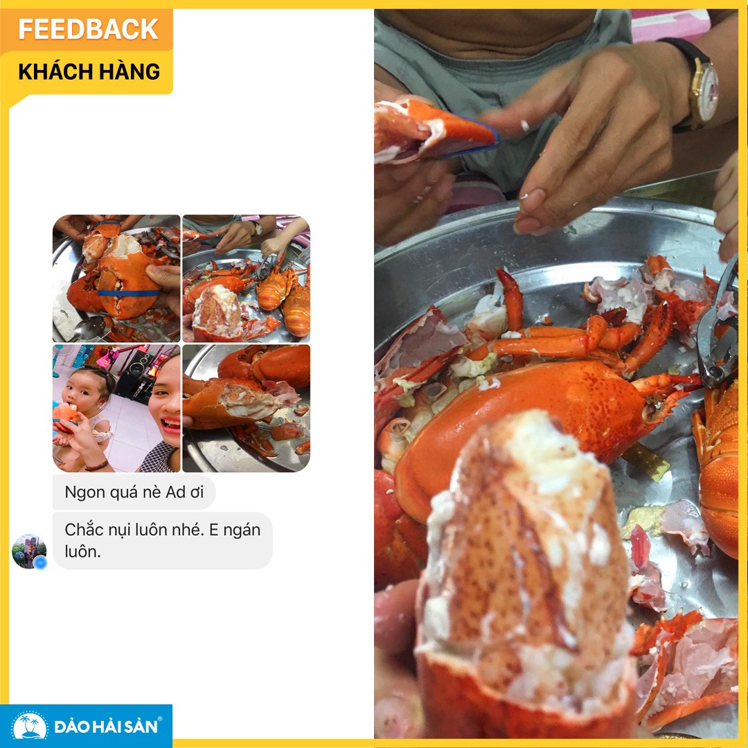 feedback 7