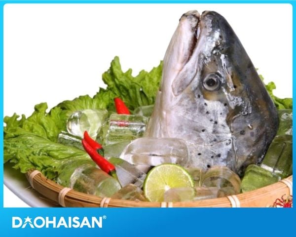 Không chỉ tạo ra được nhiều món ăn thơm ngon, hấp dẫn mà đầu cá hồi còn hỗ trợ sức khỏe của bạn